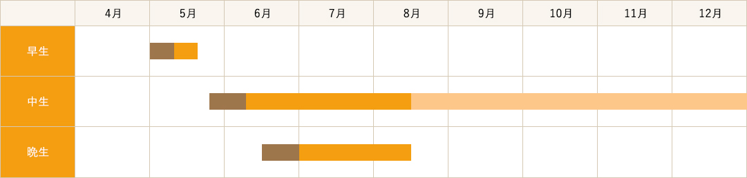 栽培カレンダー